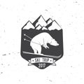 Ski club concept with bear.