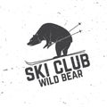 Ski club concept with bear.