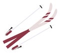 Ski Equipment Pole and Stick, Winter Sports Icon