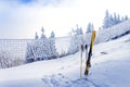 Ski equipment on ski run with pine forest covered in snow