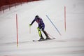 Ski FIS AUDI World Cup - 3Tre - Night Men Slalom