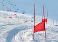 Ski gates with parallel slalom Royalty Free Stock Photo