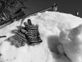 Ski gloves, skis and ski poles in the snow under the tree in winter or spring Royalty Free Stock Photo