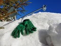 Ski gloves, skis and ski poles in the snow under the tree in winter or spring Royalty Free Stock Photo