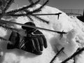 Ski gloves, skis and ski poles in the snow under the tree in winter or spring Royalty Free Stock Photo