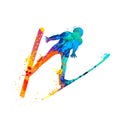 Ski jumping man colorful silhouette vector icon. Royalty Free Stock Photo