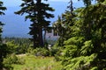 Ski Lift Station at Mount Hood, Volcano in the Cascade Range, Oregon Royalty Free Stock Photo