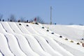 Ski Lodge Snow Tubers