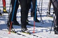 Ski marathon the view of the legs of the skiers feet of many athletes, running in the snow