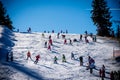 Ski Paltinis Royalty Free Stock Photo