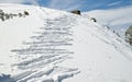 Ski prints on the slopes in the morning Royalty Free Stock Photo