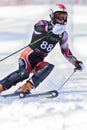 Ski Racer