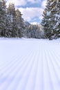 Ski resort Bansko, Bulgaria, groomed ski road Royalty Free Stock Photo