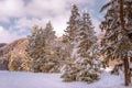 Ski resort Bansko, Bulgaria, groomed ski road Royalty Free Stock Photo