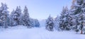 Ski resort Bansko, Bulgaria, slope panorama