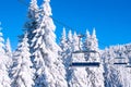 Ski resort image with chair lift and white snow pine trees