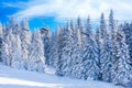 Ski resort Kopaonik, Serbia, slope, chair lift and trees Royalty Free Stock Photo