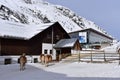 Ski resort stables with beautiful haflinger horses in the snow Royalty Free Stock Photo