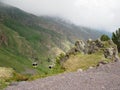 Ski resort, trailers, gondolas on background mountain and forests. Russia, Elbrus - June 2019