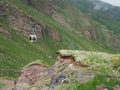 Ski resort, trailers, gondolas on background mountain and forests. Russia, Elbrus - June 2019