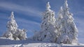 Ski Resort Winter Landscapes, Mountains in Snowing, Alpine Nature View in Wintertime, Conifer Forest Scene in Snow Royalty Free Stock Photo