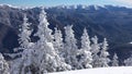 Ski Resort Winter Landscapes, Mountains in Snowing, Alpine Nature View in Wintertime, Conifer Forest Scene in Snow Royalty Free Stock Photo