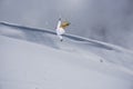 Ski rider jumping on mountains. Extreme ski freeride sport. Royalty Free Stock Photo