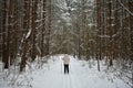 Ski road through the snowy pine forest. Tall pines on the branches of trees snow and ice. Girl