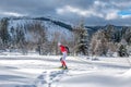 Ski runner on the route of a race running through a snowy forest