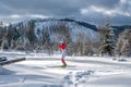 Ski runner on the route of a race running through a snowy forest