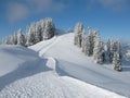 Ski slope and snow covered trees, winter background, Wispile Royalty Free Stock Photo