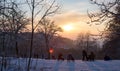 Ski slope at sunset  winter sports concept  sledge driver Royalty Free Stock Photo