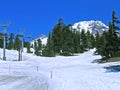 Ski slopes on Mt. Hood, Oregon Royalty Free Stock Photo