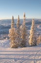 Ski slopes at winter Royalty Free Stock Photo