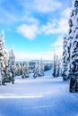 Ski Slopes and a Winter Landscape with Snow Covered Trees on the Ski Hills near the village of Sun Peaks Royalty Free Stock Photo