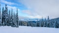 Ski Slopes and a Winter Landscape with Snow Covered Trees on the Ski Hills near the village of Sun Peaks Royalty Free Stock Photo