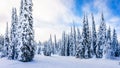 Ski Slopes and a Winter Landscape with Snow Covered Trees on the Ski Hills near the village of Sun Peaks Royalty Free Stock Photo