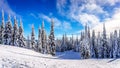 Ski Slopes and a Winter Landscape with Snow Covered Trees on the Ski Hills near the village of Sun Peaks Royalty Free Stock Photo