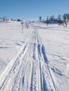 Ski and snow scooter tracks in winter landscape Royalty Free Stock Photo