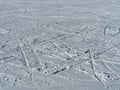 Ski and Snowboard Tracks on Freshly Groomed Snow