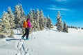 Ski touring in the deep snow, Carpathians, Transylvania, Romania Royalty Free Stock Photo