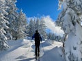 Ski touring in a peaceful winter landscape deeply covered in snow. Vorarlberg, Austria. Royalty Free Stock Photo