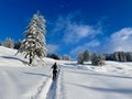 Ski touring in a peaceful winter landscape deeply covered in snow. Vorarlberg, Austria. Royalty Free Stock Photo