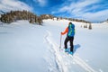 Ski touring in the powder snow, Transylvania, Carpathians, Romania Royalty Free Stock Photo