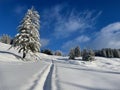 Ski touring trail in peaceful winter landscape deeply covered in snow. Laterns, Vorarlberg, Austria. Royalty Free Stock Photo