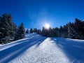 Ski track in forest at alpine resort with sun shine over trees Royalty Free Stock Photo