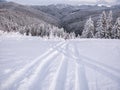 Ski track on fresh snow. Winter sports background Royalty Free Stock Photo