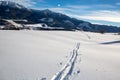 Ski track on meadow