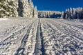 Ski track on a mountain Royalty Free Stock Photo