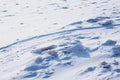 Ski track on the snow-covered ice of the river. Fragments of ice. Footprints after a snowfall. Glitter of snowflakes and